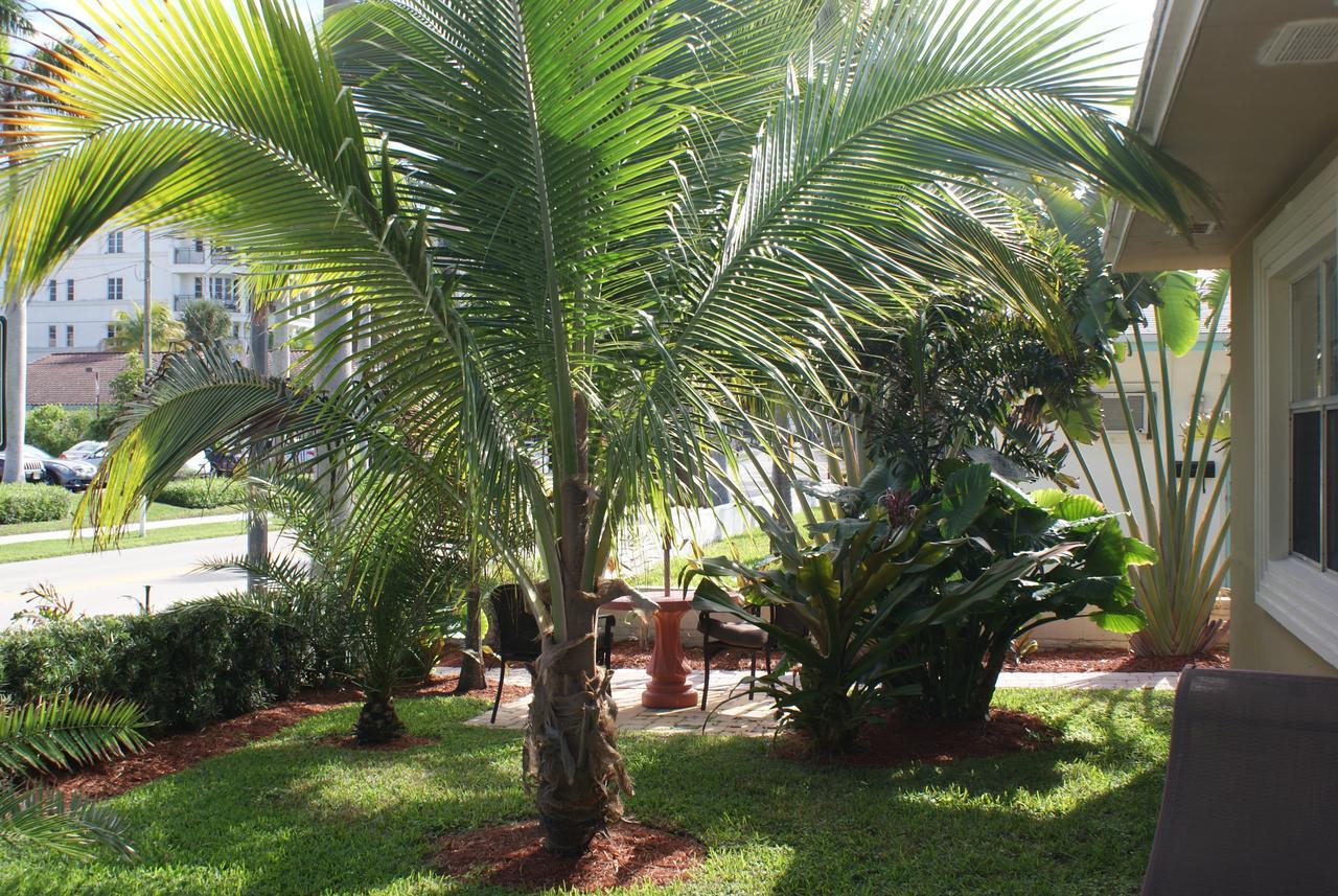 Atlantic Shores Vacation Villas Palm Beach Shores Exterior foto